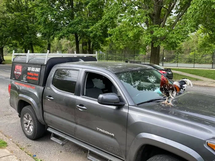 Evans Pest Control Picture 7