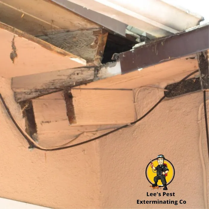 Lee's Pest Exterminating Co Picture 2