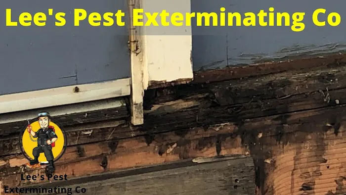 Lee's Pest Exterminating Co Picture 5
