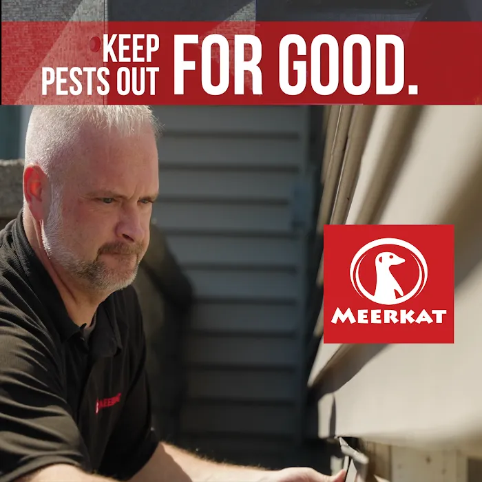 Meerkat Pest Control Picture 8