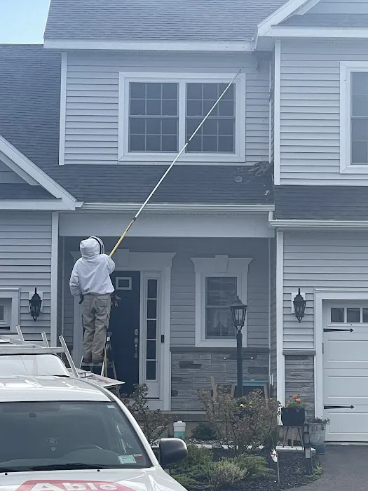 Able Pest Control Picture 2