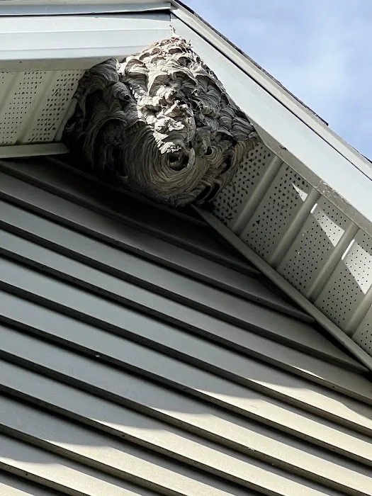 Northeast Pest Control Inc Picture 5