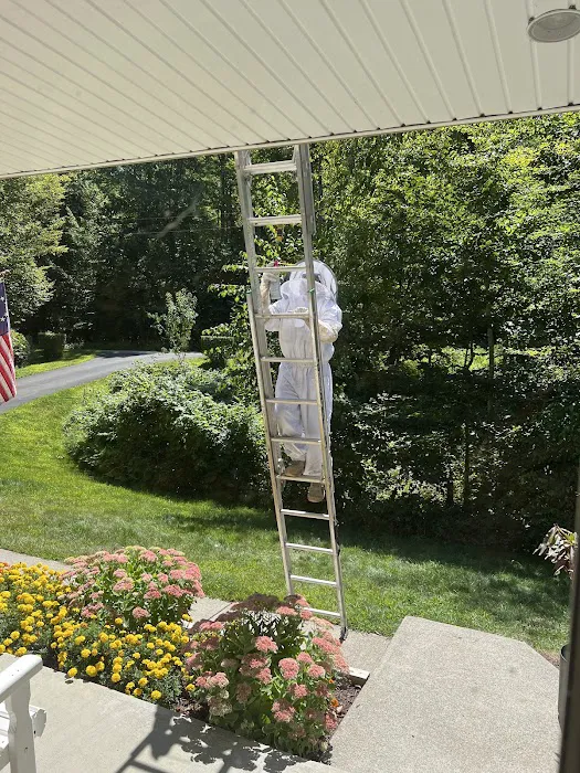 Northeast Pest Control Inc Picture 7
