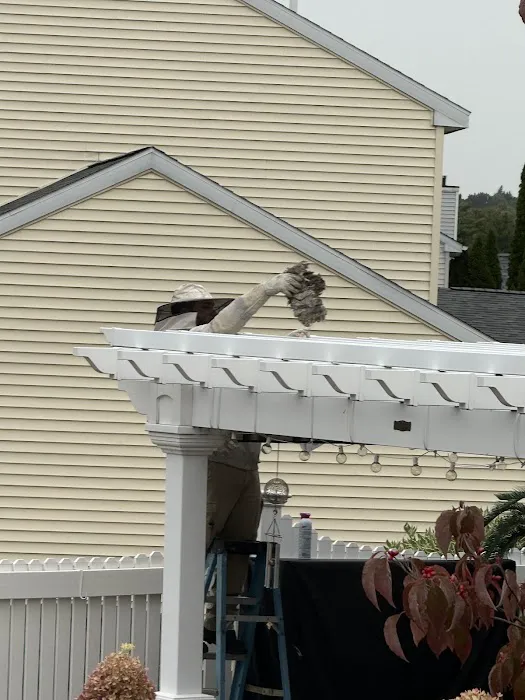 Northeast Pest Control Inc Picture 1