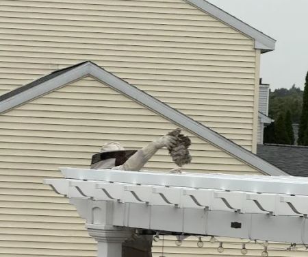 Northeast Pest Control Inc