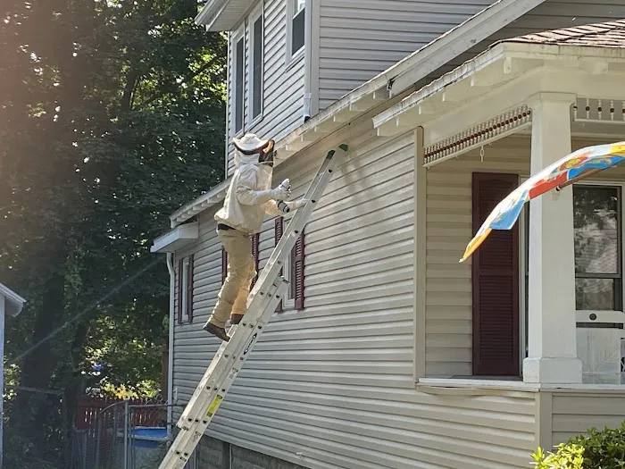 Northeast Pest Control Inc Picture 3