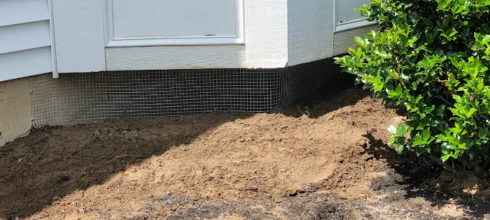Meerkat Pest Control Picture 1