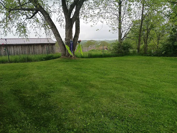 Fox Pest Control Albany Picture 4