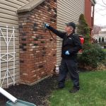Family Pest Solutions