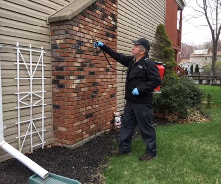 Family Pest Solutions