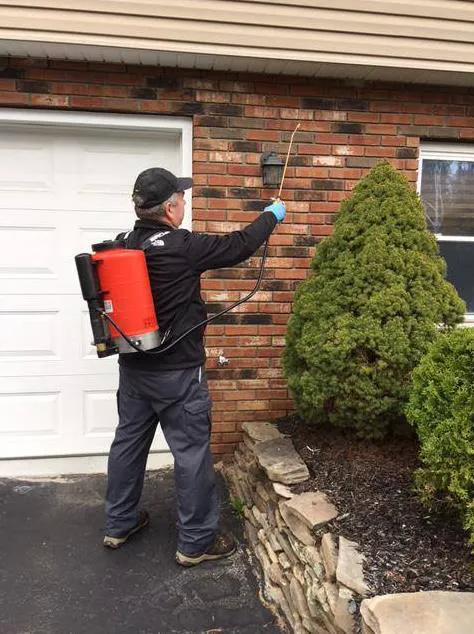 Family Pest Solutions Picture 4
