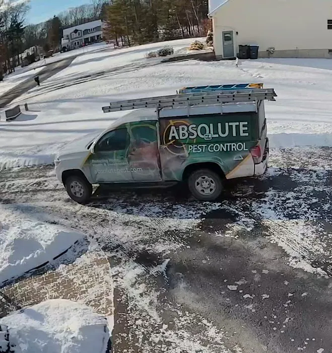 Absolute Pest Control Picture 8