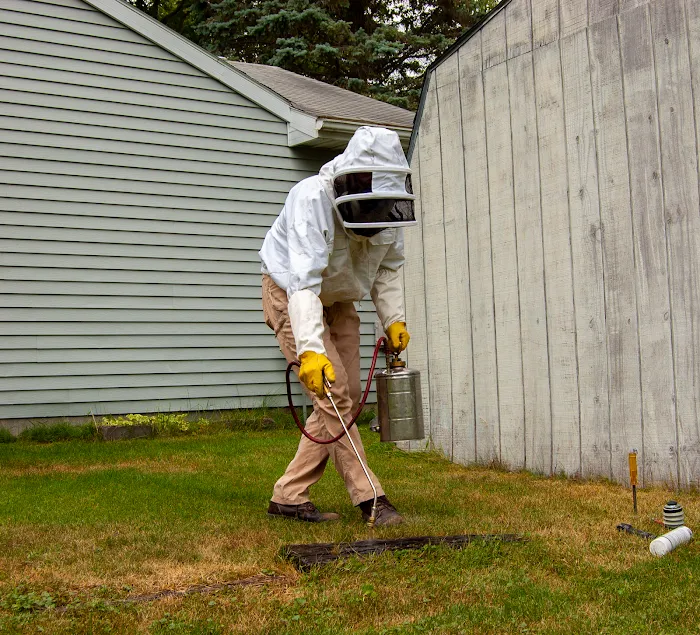 Absolute Pest Control Picture 5