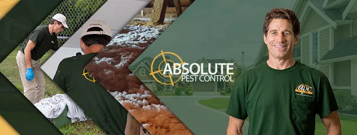 Absolute Pest Control Picture 9