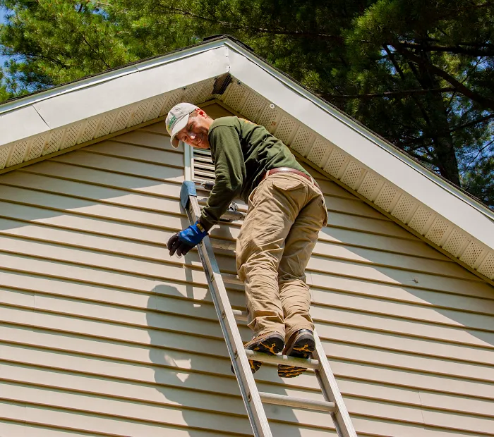 Absolute Pest Control Picture 6