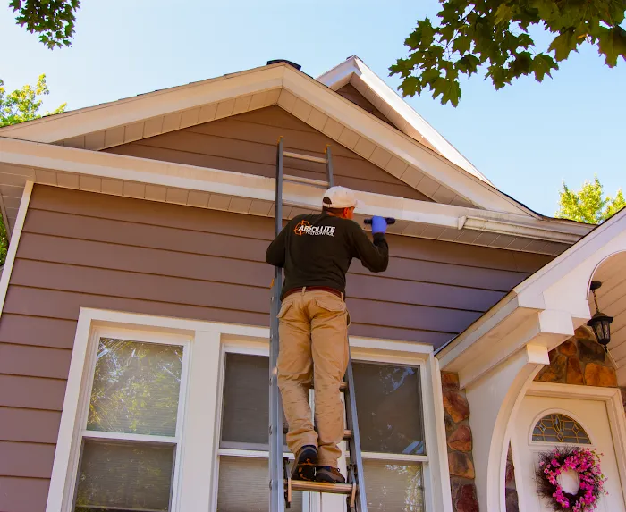 Absolute Pest Control Picture 2