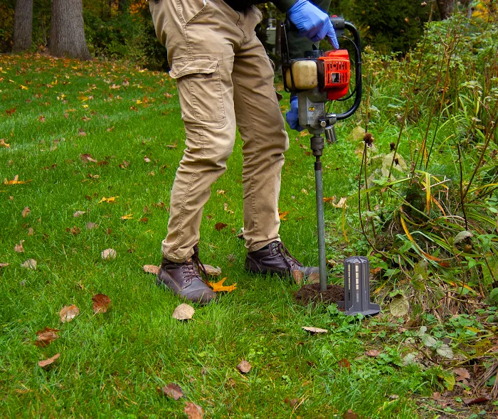 Absolute Pest Control Picture 10