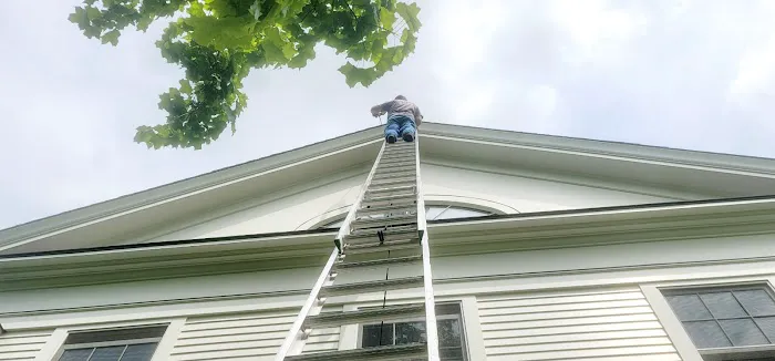 Action Pest Management Picture 6