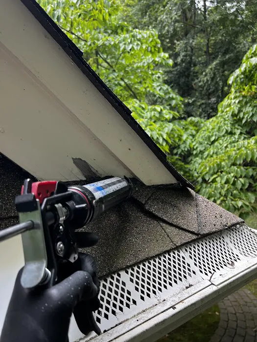 Defense Pest And Wildlife Control LLC Picture 6
