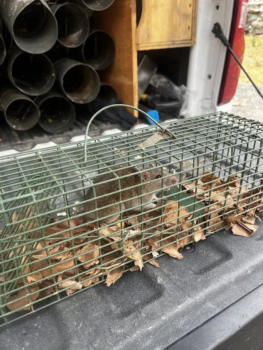 Defense Pest And Wildlife Control LLC Picture 5