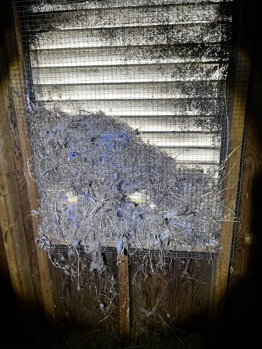 Defense Pest And Wildlife Control LLC Picture 10