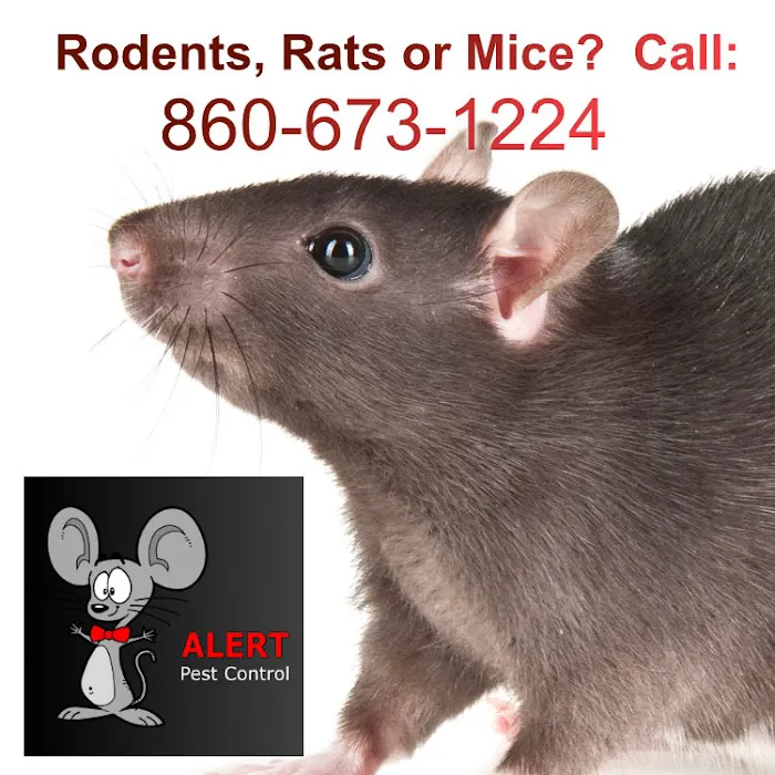 Alert Pest Management Picture 5