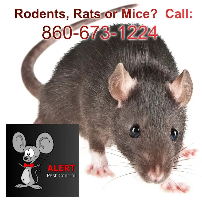 Alert Pest Management Picture 9