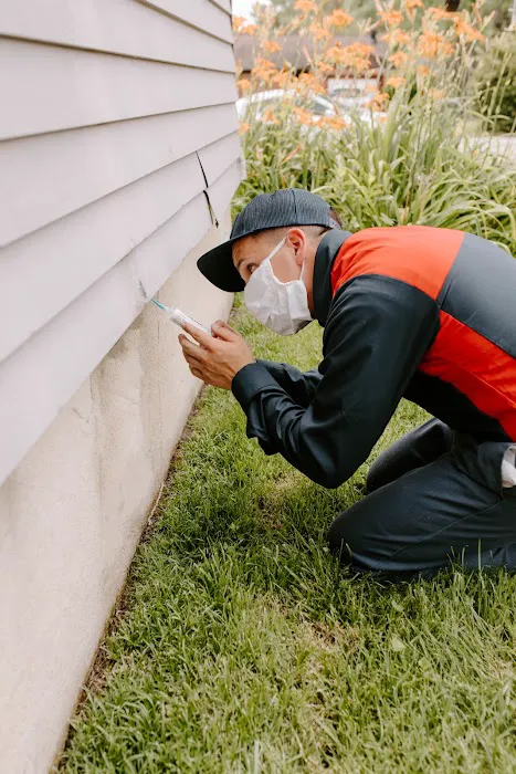 Fox Pest Control Berlin Picture 6