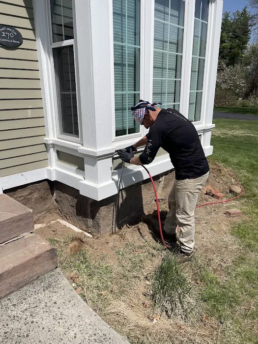 Excell pest control Picture 4