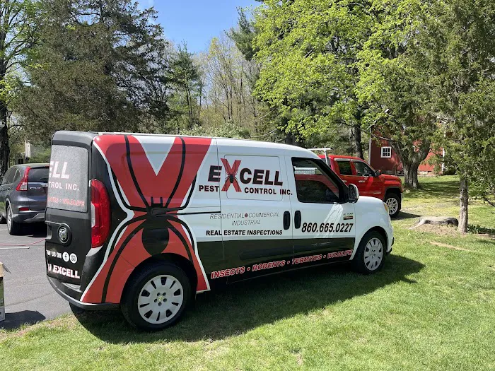 Excell pest control Picture 2