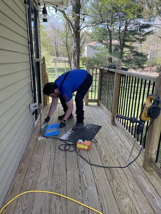 Excell pest control Picture 9