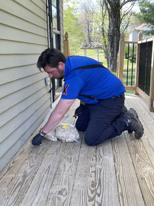 Excell pest control Picture 6