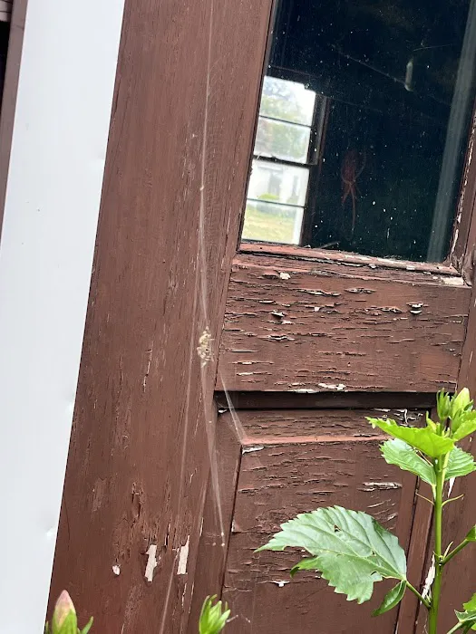 Moxie Pest Control Picture 5