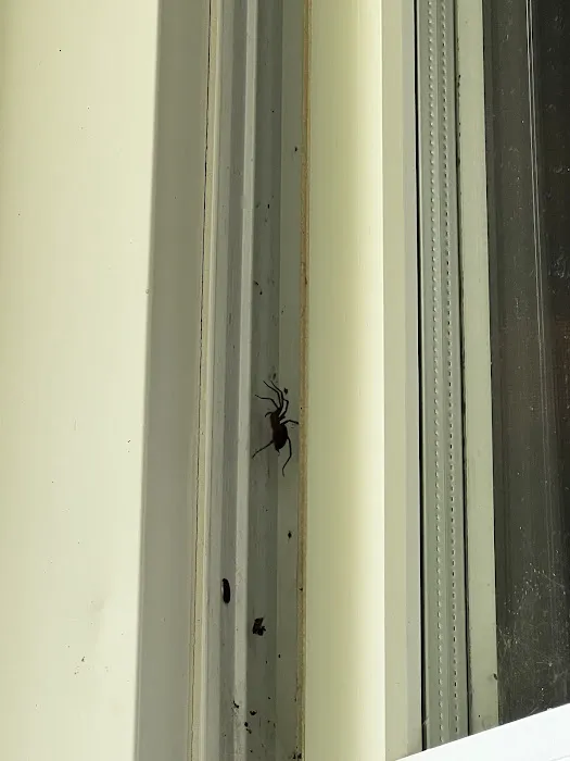 Moxie Pest Control Picture 3