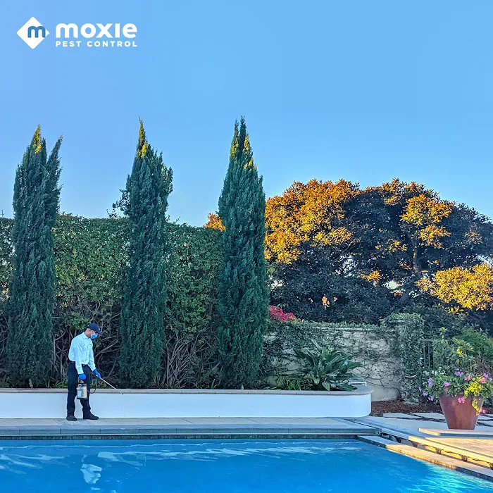 Moxie Pest Control Picture 10