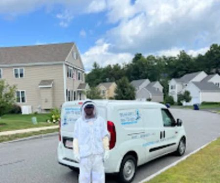 Seaport Pest Solutions