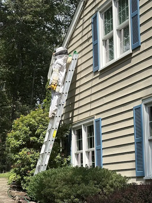 Richland Pest & Bee Control Picture 2