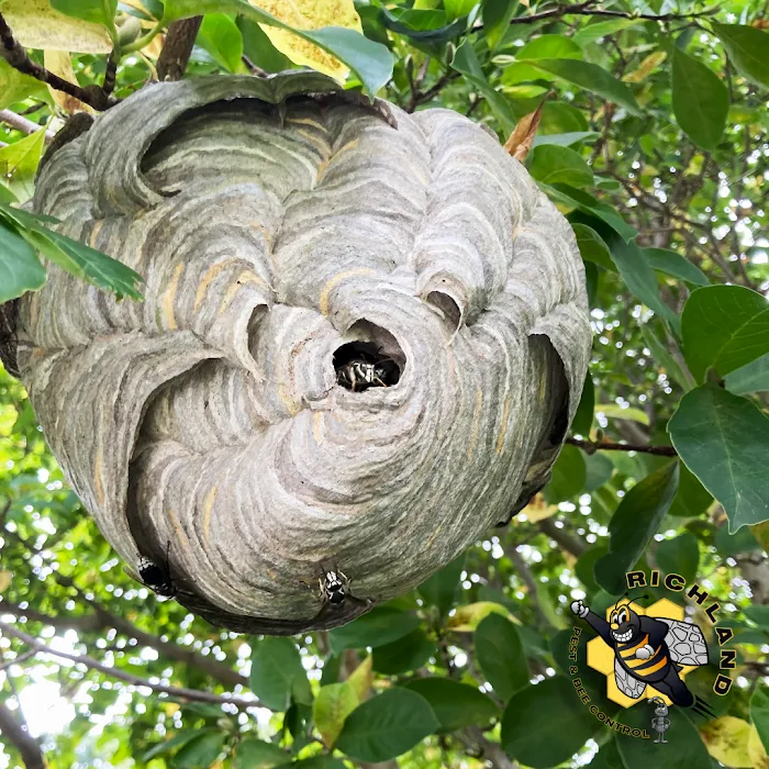 Richland Pest & Bee Control Picture 9