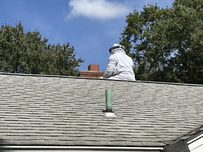 Richland Pest & Bee Control Picture 4