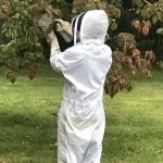 Richland Pest & Bee Control