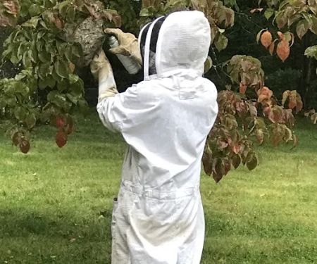 Richland Pest & Bee Control