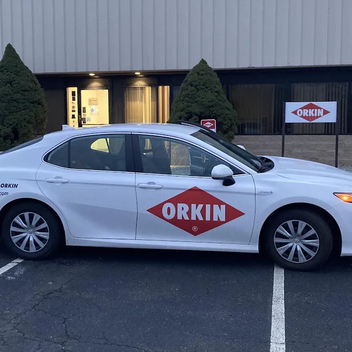 Orkin Picture 4