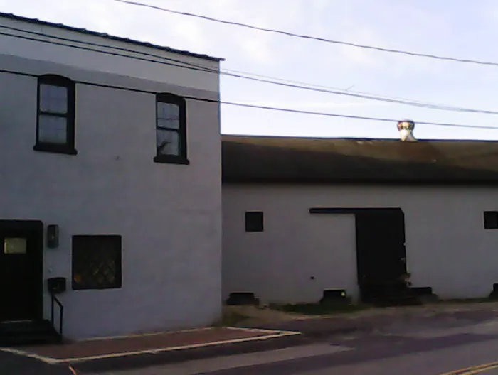 Pesthampton Picture 6