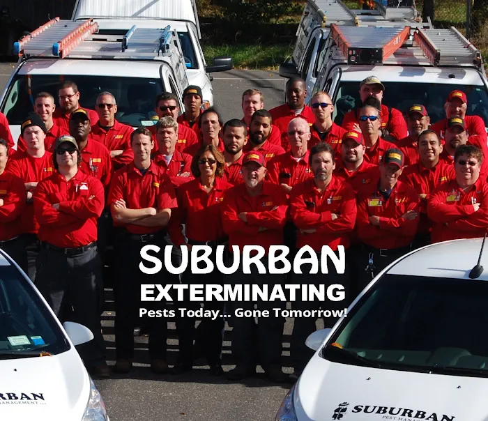 Suburban Exterminating Picture 7