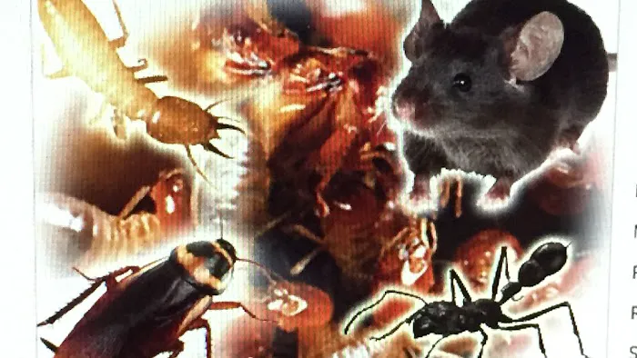 General Exterminating Picture 6