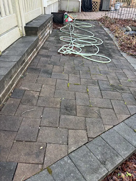 Unified Pest Services Picture 1