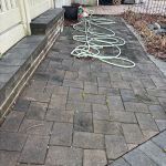 Unified Pest Services