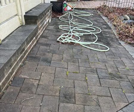 Unified Pest Services