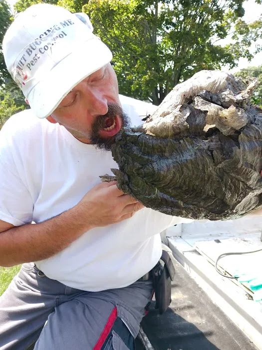 Quit Bugging Me Pest Control LLC Picture 2