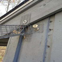 ProfExt Pest Control Picture 6
